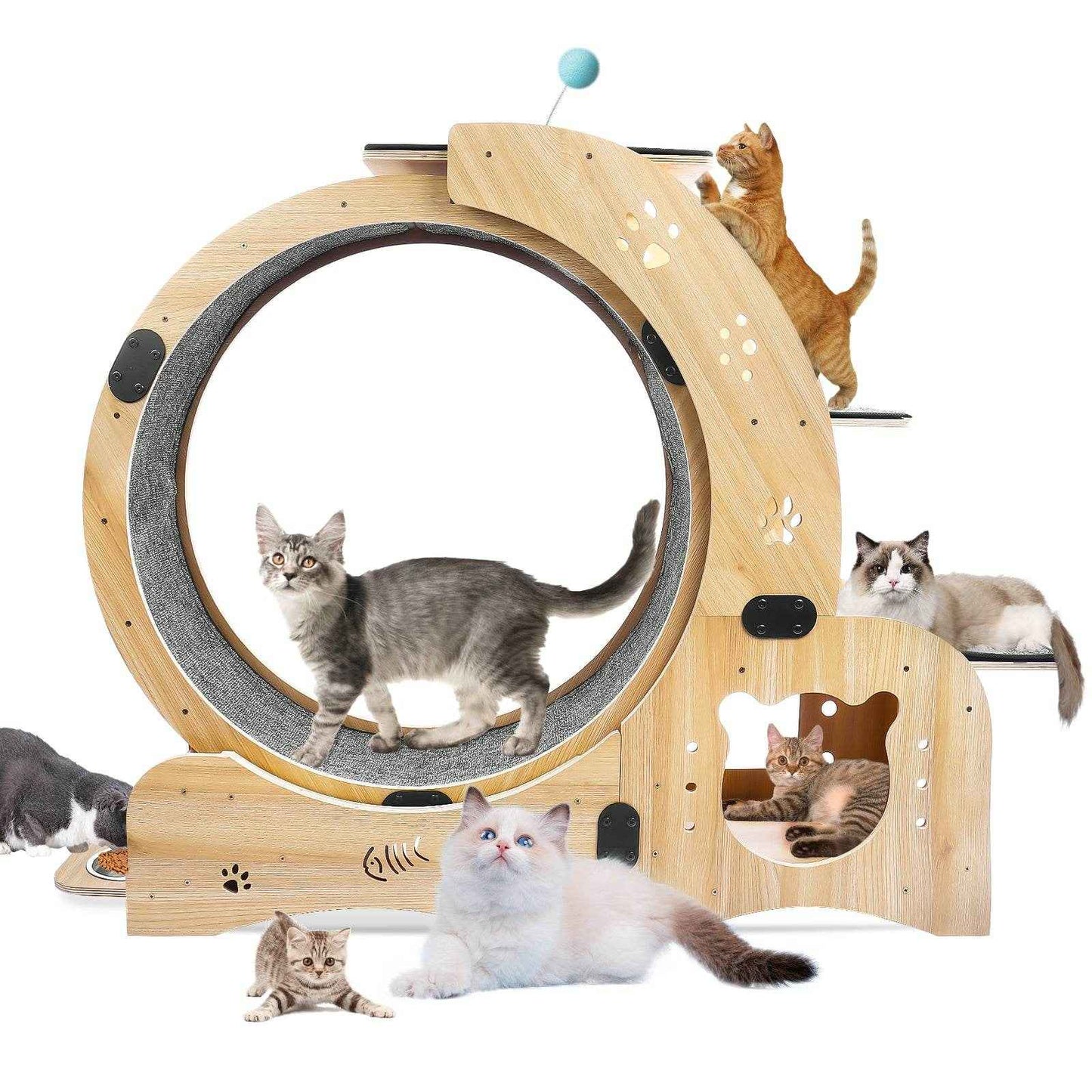 6-in-1 Cat Exercise Wheel – Upgraded Silent Cat Running Wheel for Indoor Cats, Large Cat Treadmill and Walking Wheel, Multi-Functional Cat Furniture & Toy