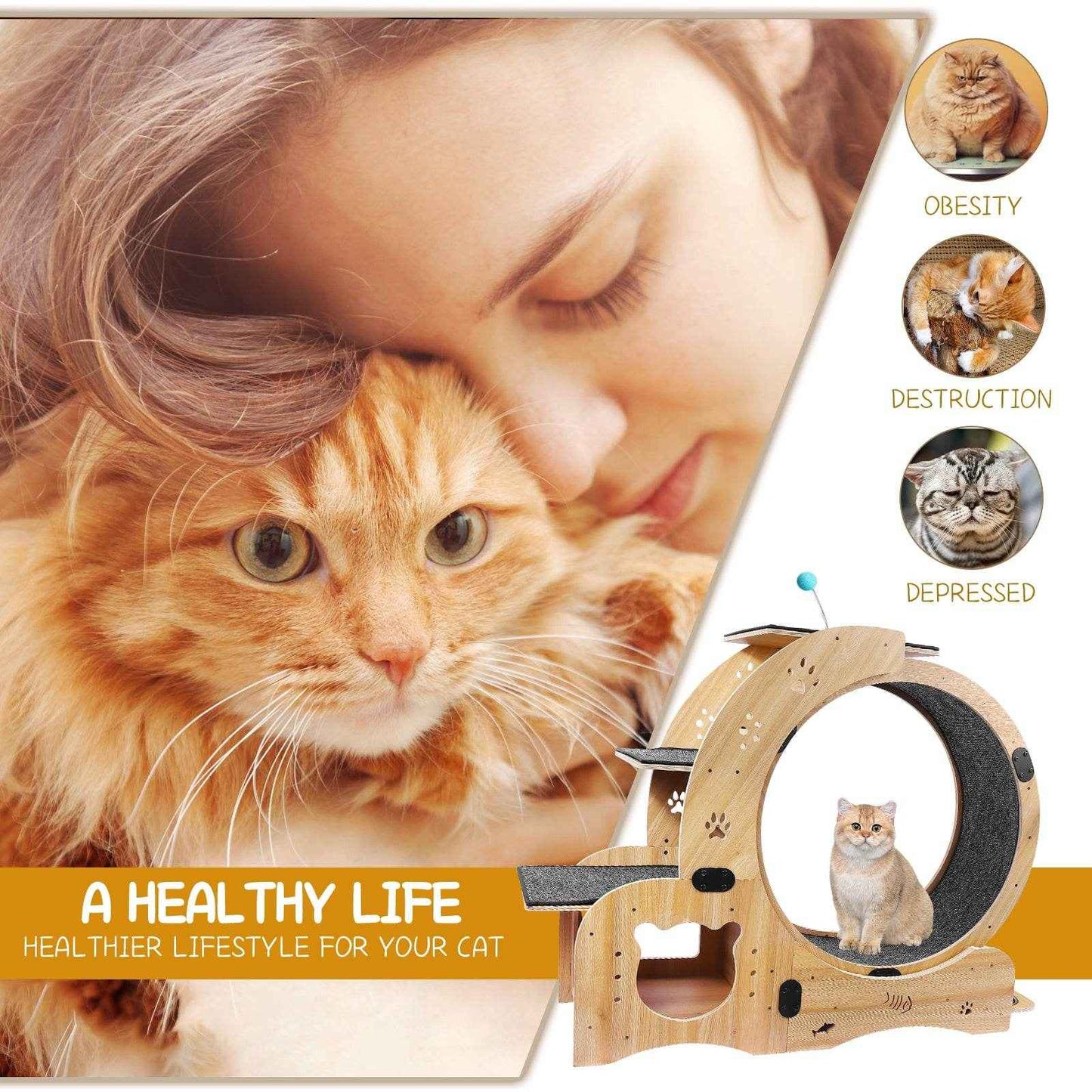 6-in-1 Cat Exercise Wheel – Upgraded Silent Cat Running Wheel for Indoor Cats, Large Cat Treadmill and Walking Wheel, Multi-Functional Cat Furniture & Toy