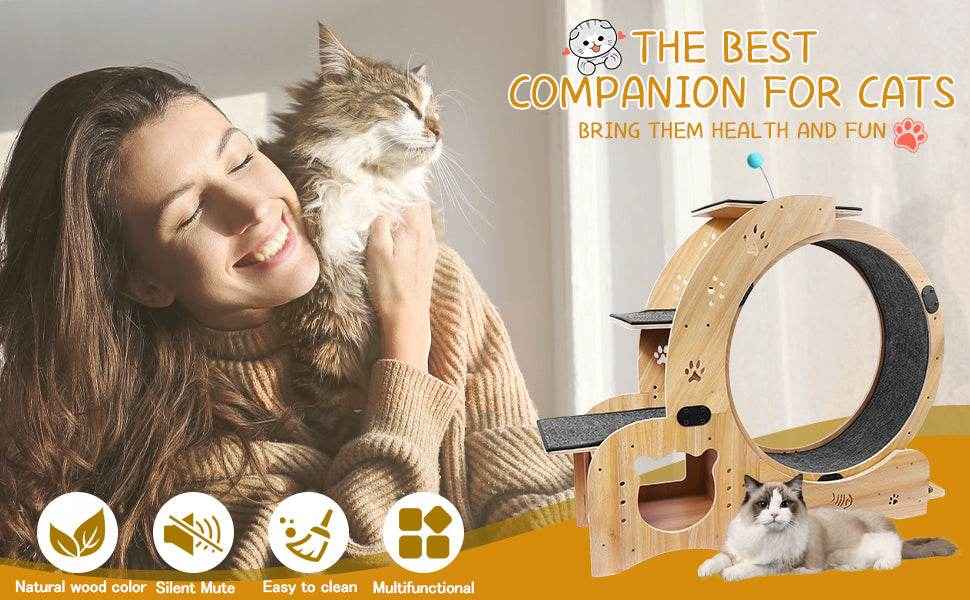 6-in-1 Cat Exercise Wheel – Upgraded Silent Cat Running Wheel for Indoor Cats, Large Cat Treadmill and Walking Wheel, Multi-Functional Cat Furniture & Toy
