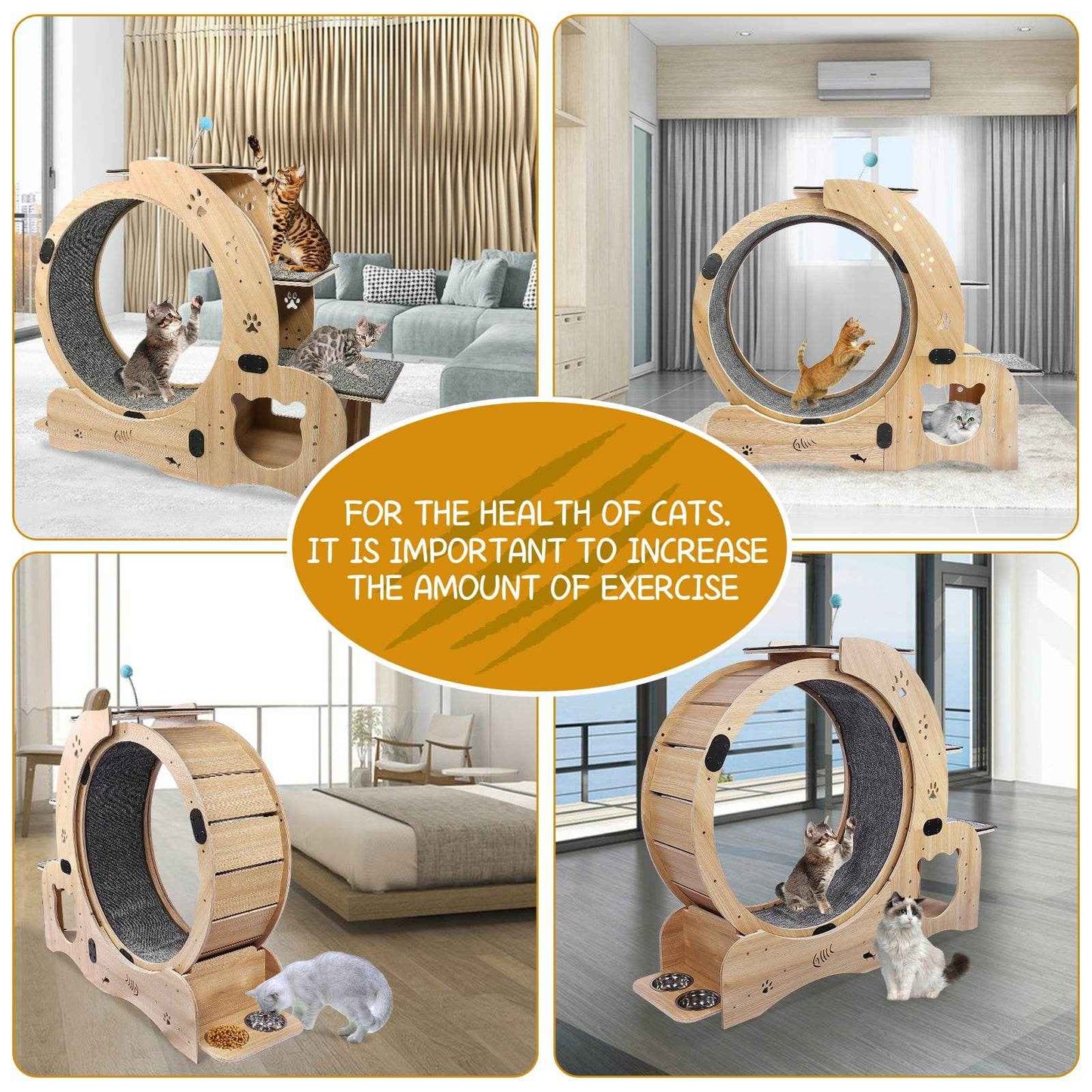 6-in-1 Cat Exercise Wheel – Upgraded Silent Cat Running Wheel for Indoor Cats, Large Cat Treadmill and Walking Wheel, Multi-Functional Cat Furniture & Toy