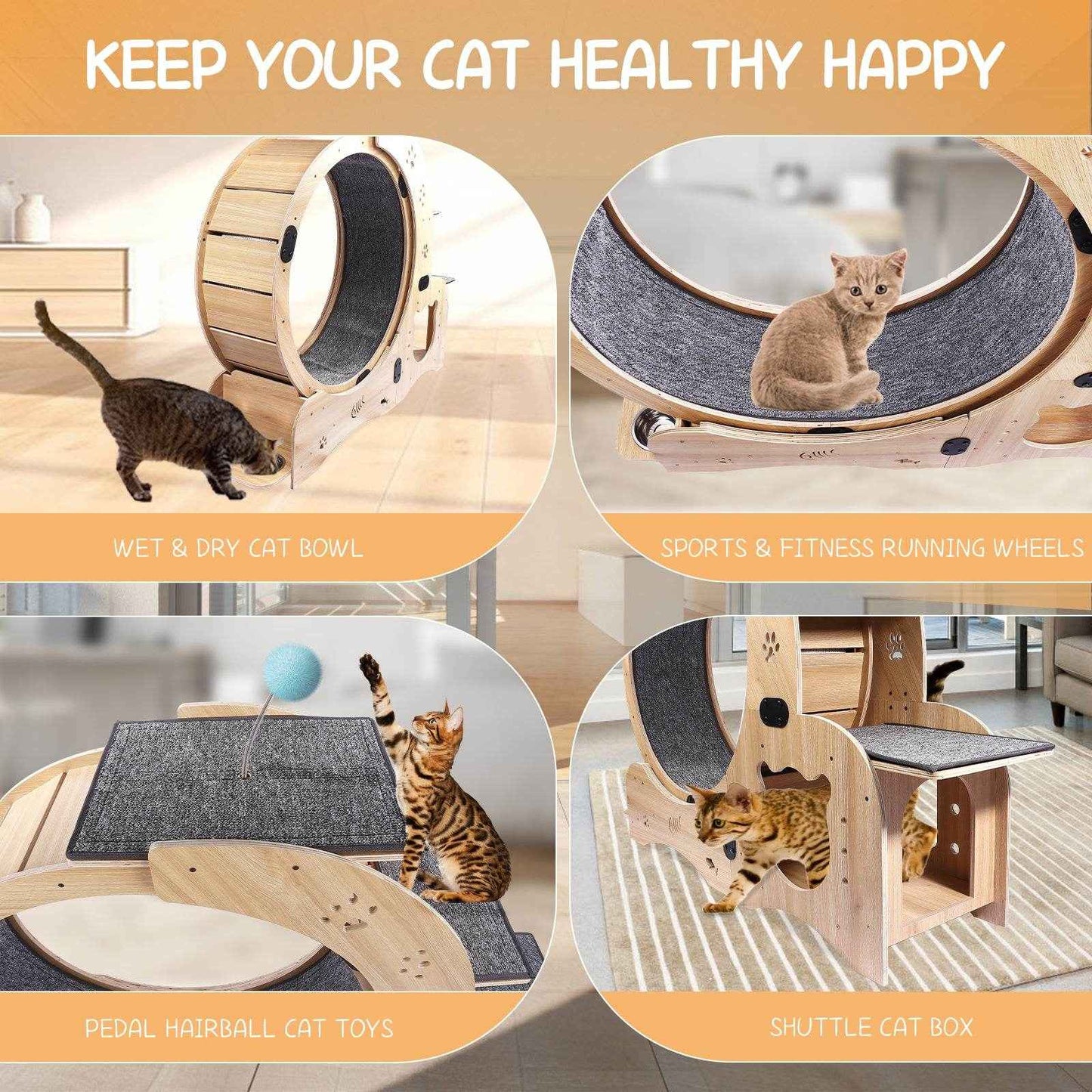 6-in-1 Cat Exercise Wheel – Upgraded Silent Cat Running Wheel for Indoor Cats, Large Cat Treadmill and Walking Wheel, Multi-Functional Cat Furniture & Toy