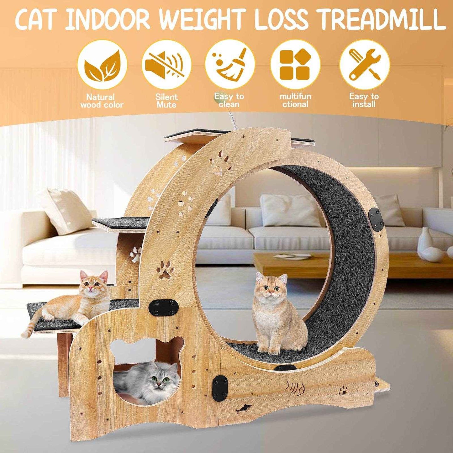 6-in-1 Cat Exercise Wheel – Upgraded Silent Cat Running Wheel for Indoor Cats, Large Cat Treadmill and Walking Wheel, Multi-Functional Cat Furniture & Toy