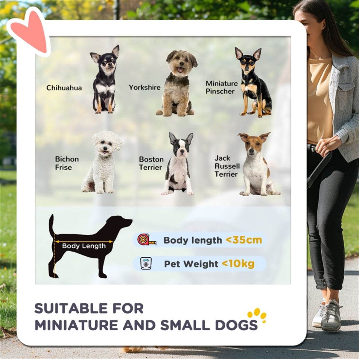 2-in-1 Foldable Dog Stroller & Pet Carrier – Adjustable Canopy, Secure & Lightweight