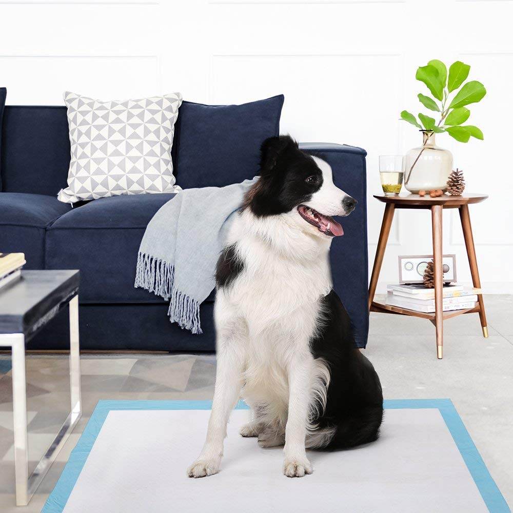 Extra-Large Super Absorbent Dog Training Pads – 20 Pack, Waterproof & Leak-Proof (23.6” x 35.4”)
