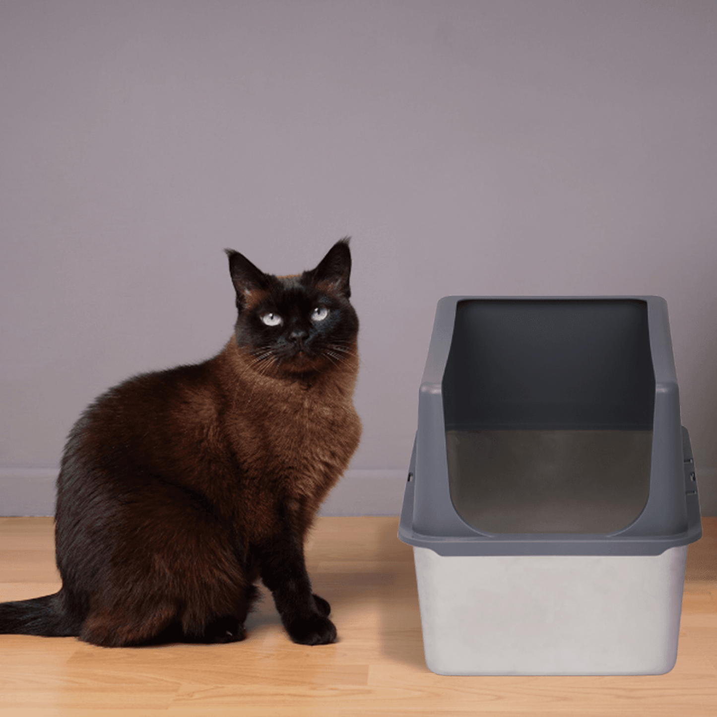 XXL Stainless Steel Cat Litter Box with Lid, Extra Large Litter Pan with High Sides, Easy Cleaning, Include Double Layer Litter Mat and Scoop
