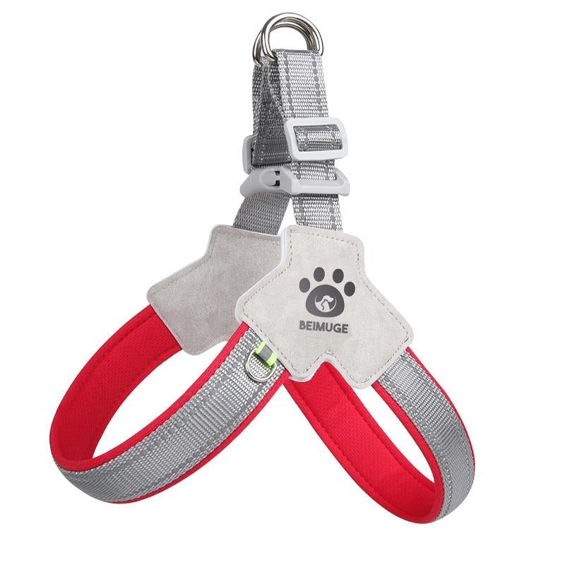 Dog Collars and Harnesses: Stylish & Durable Options for Every Pup