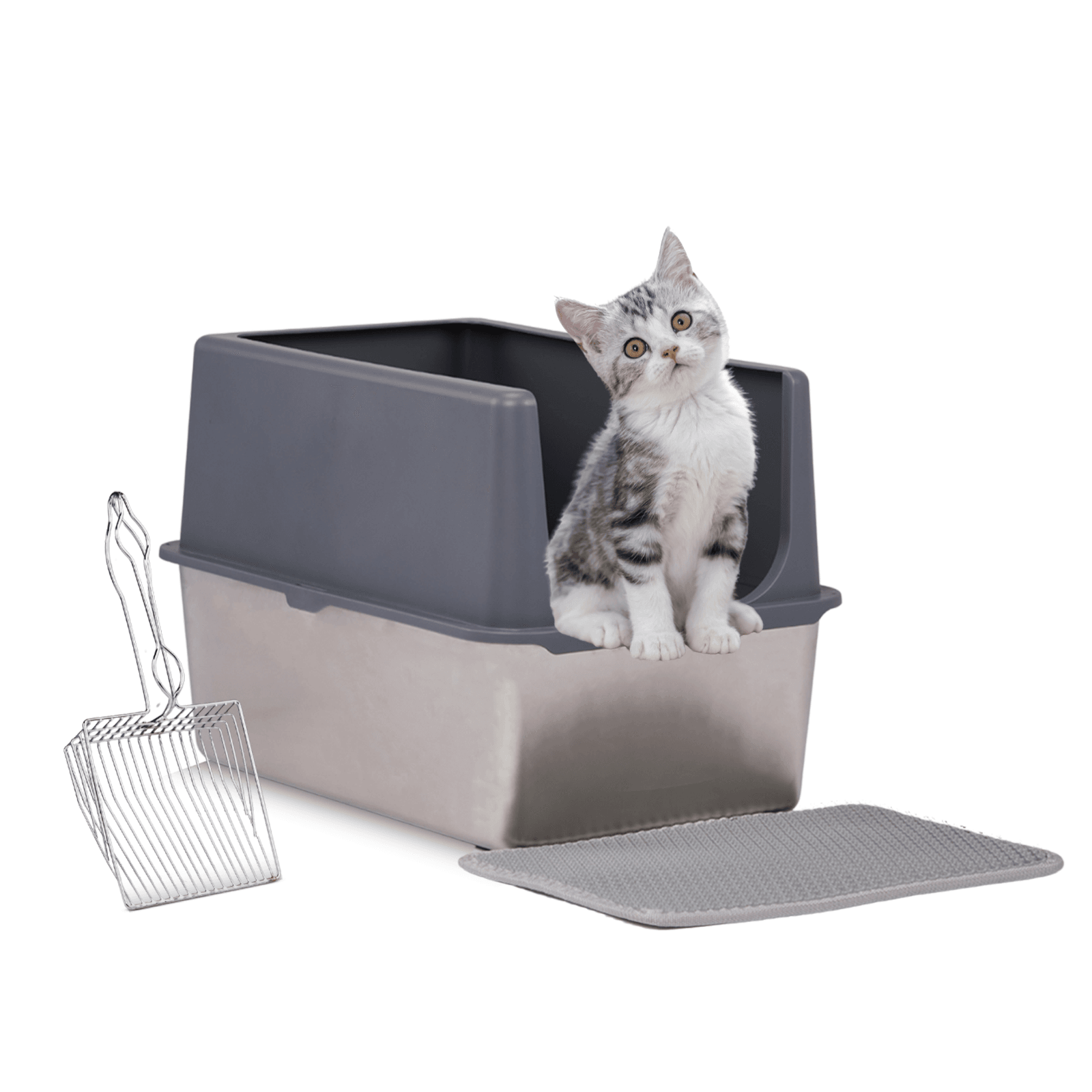 Cat Litter & Housebreaking - Adalonia