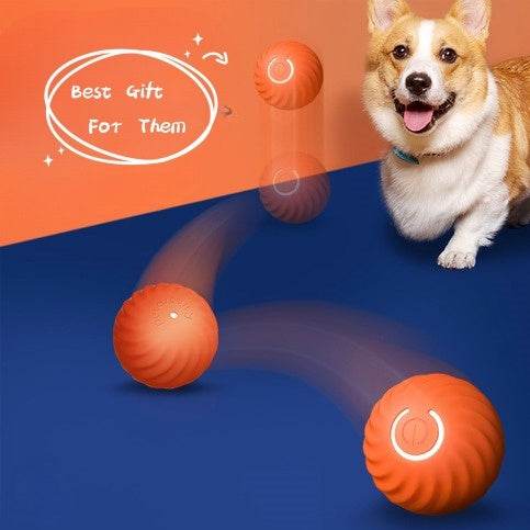 Dog Toys - Adalonia