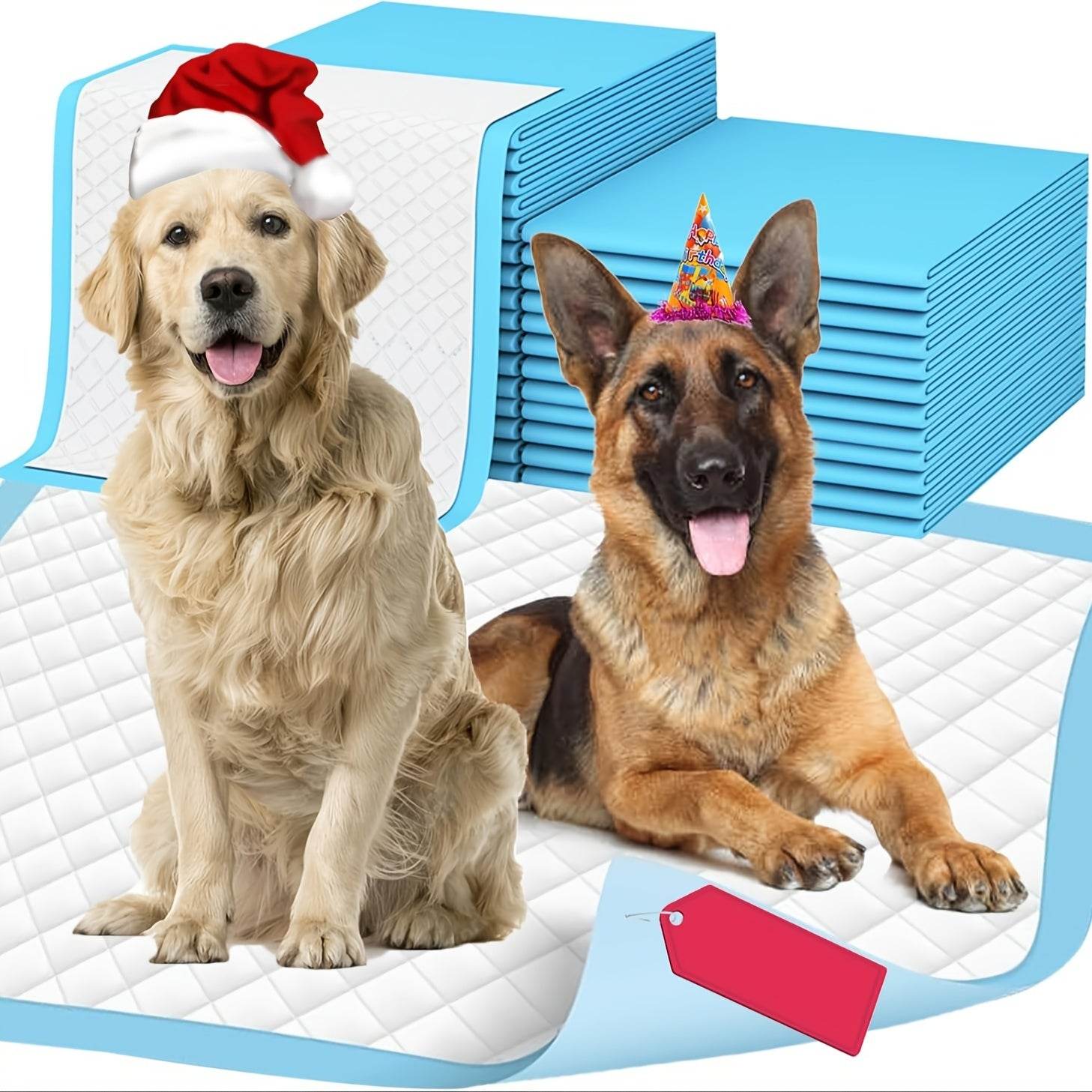 Dog Litter & Housebreaking - Adalonia