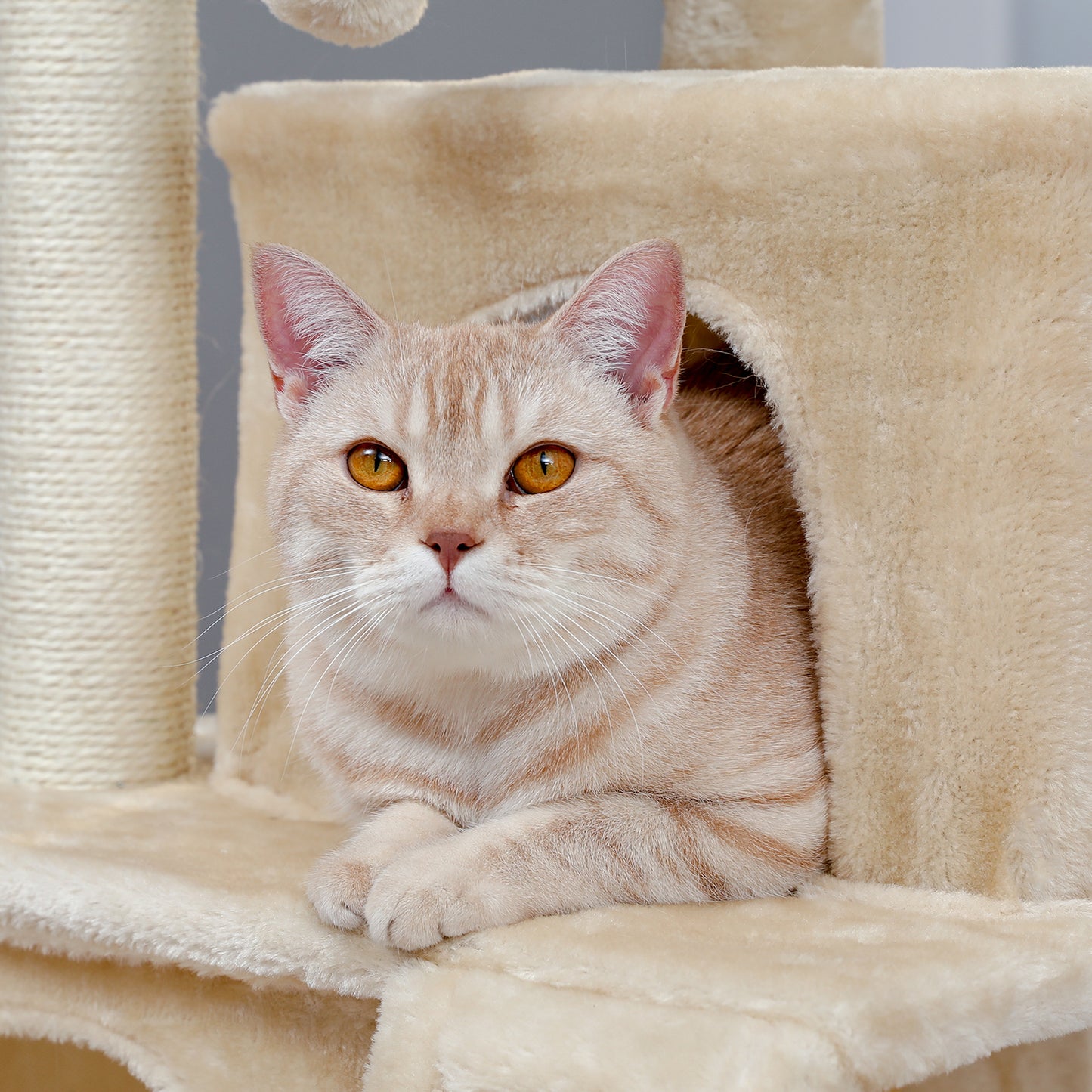 Modern Small Cat Tree Tower With Double Condos Spacious Perch Sisal Scratching Posts, Climbing Ladder and Replaceable Dangling Balls. Beige