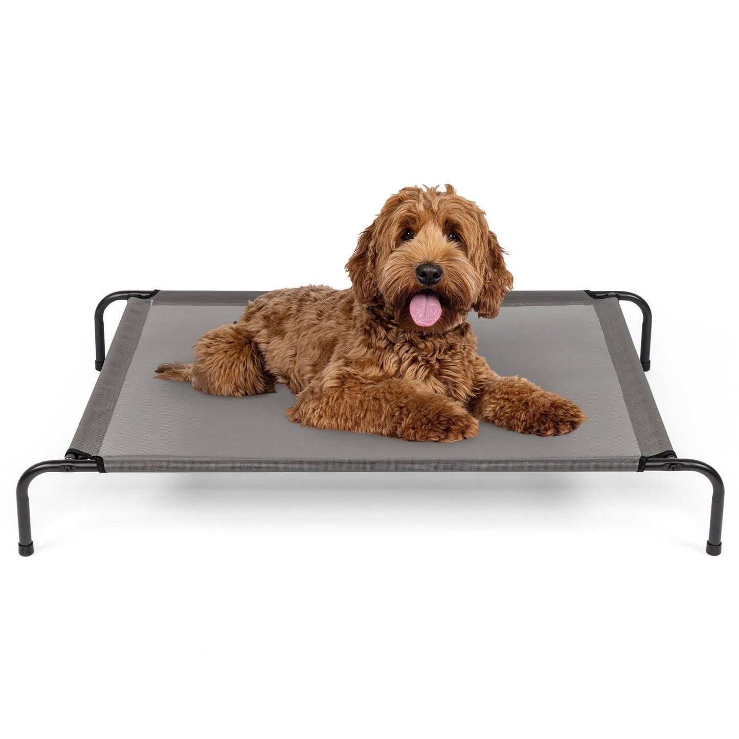 Elevated Dog Bed, Gray, 43"D x 26"W x 8"H