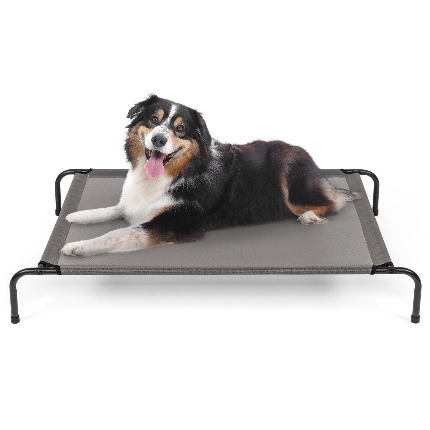 Elevated Dog Bed, Gray, 50"D x 31"W x 8"H