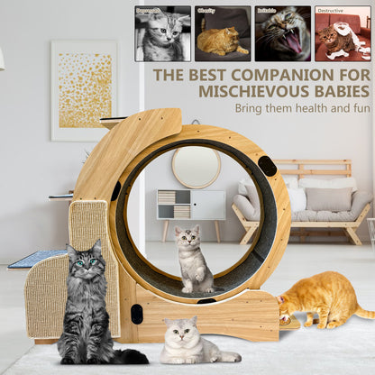 Cat Running Wheel with Multifunctional Design – Scratching Board, Climbing Ladder & More