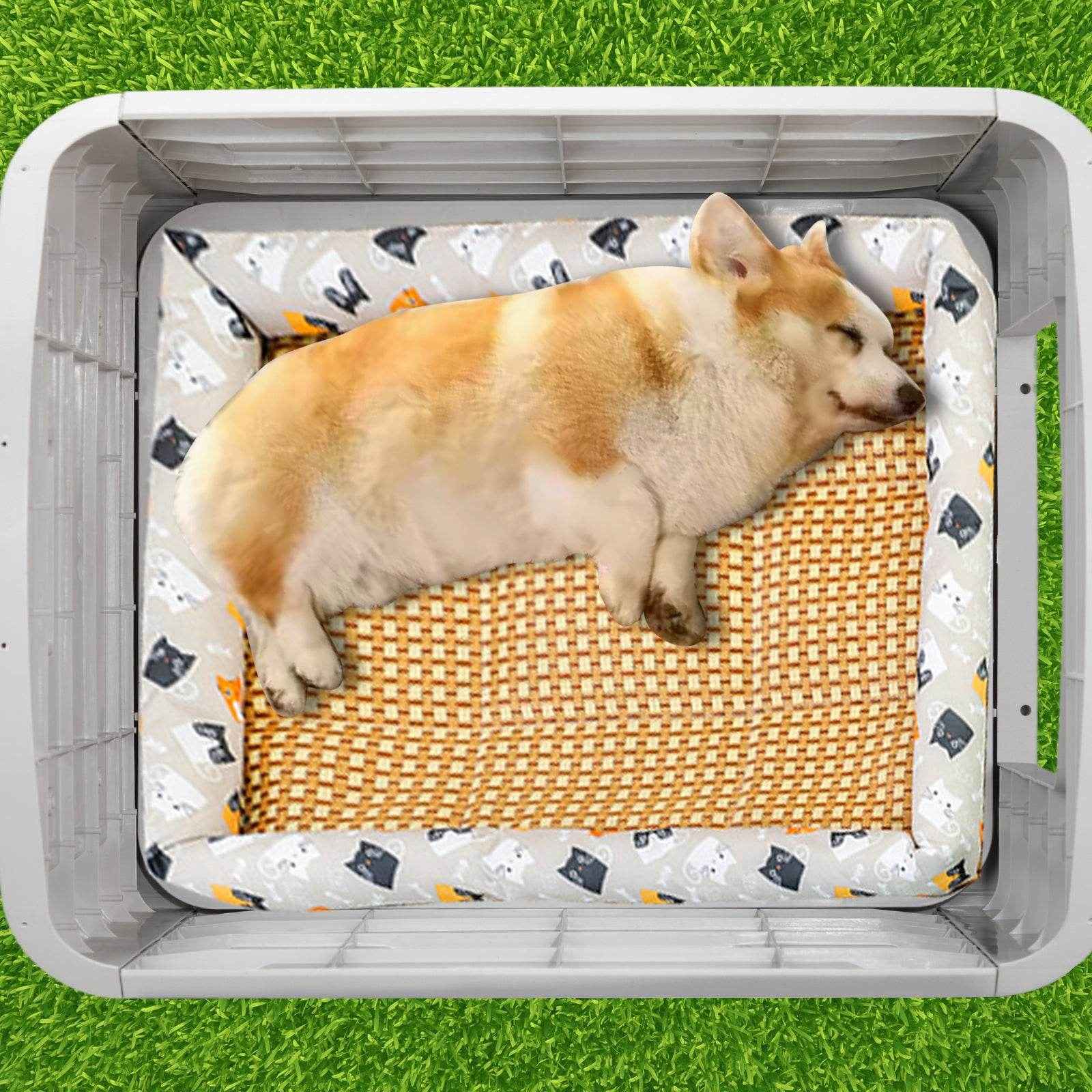 28-Inch Raised Plastic Dog House – Indoor & Outdoor Pet Shelter with Adjustable Sunroof, Elevated Base, for Small Dogs, Blue & White
