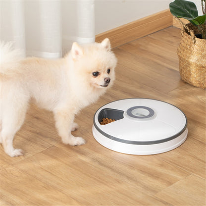 Automatic Pet Feeder with Programmable Meal Scheduling and Easy Cleanup