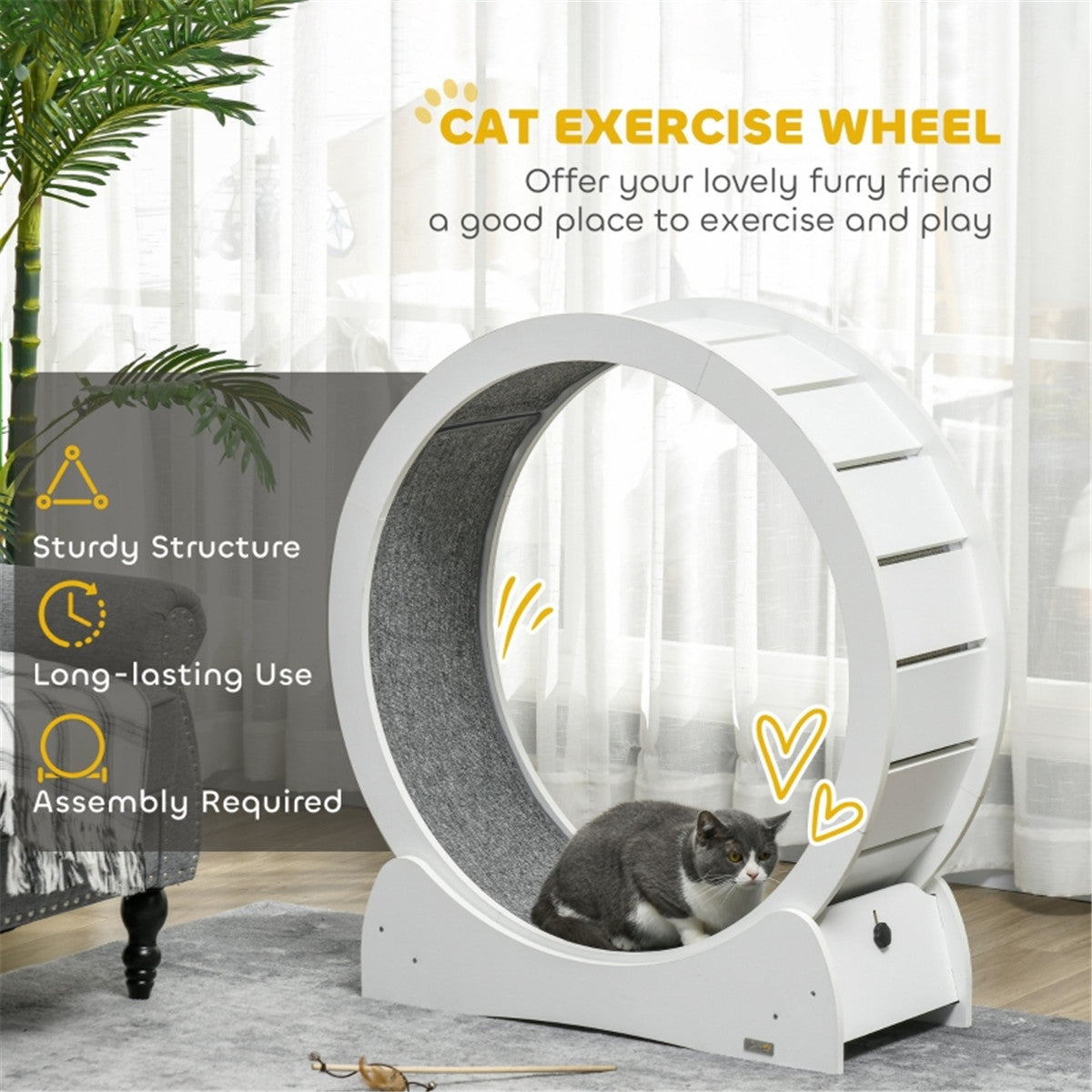 Cat Exercise Wheel with Brake and Removable Carpet