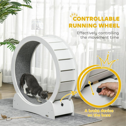 Cat Exercise Wheel with Brake and Removable Carpet