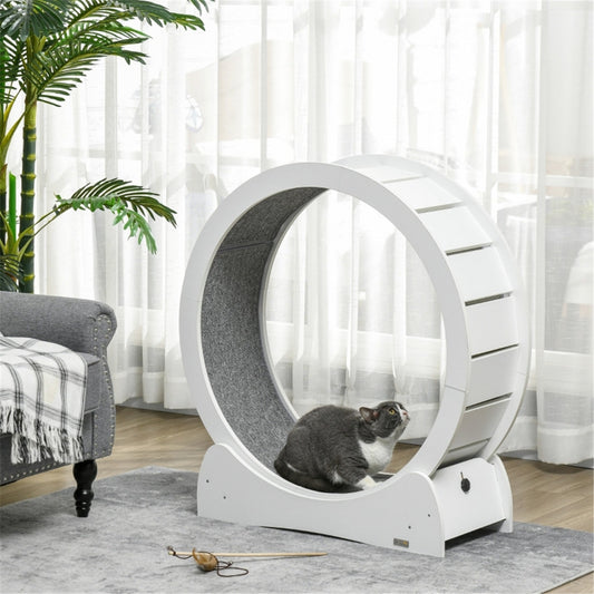 Cat Exercise Wheel with Brake and Removable Carpet