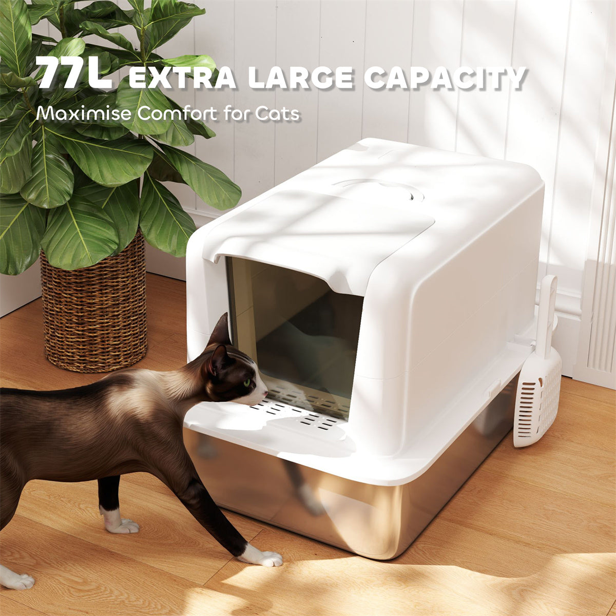 Cat Litter Box, Cat Litter Box Enclosure