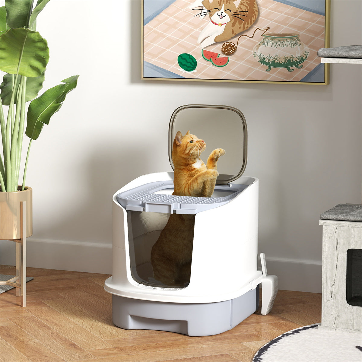 Cat Litter Box, Cat Litter Box Enclosure