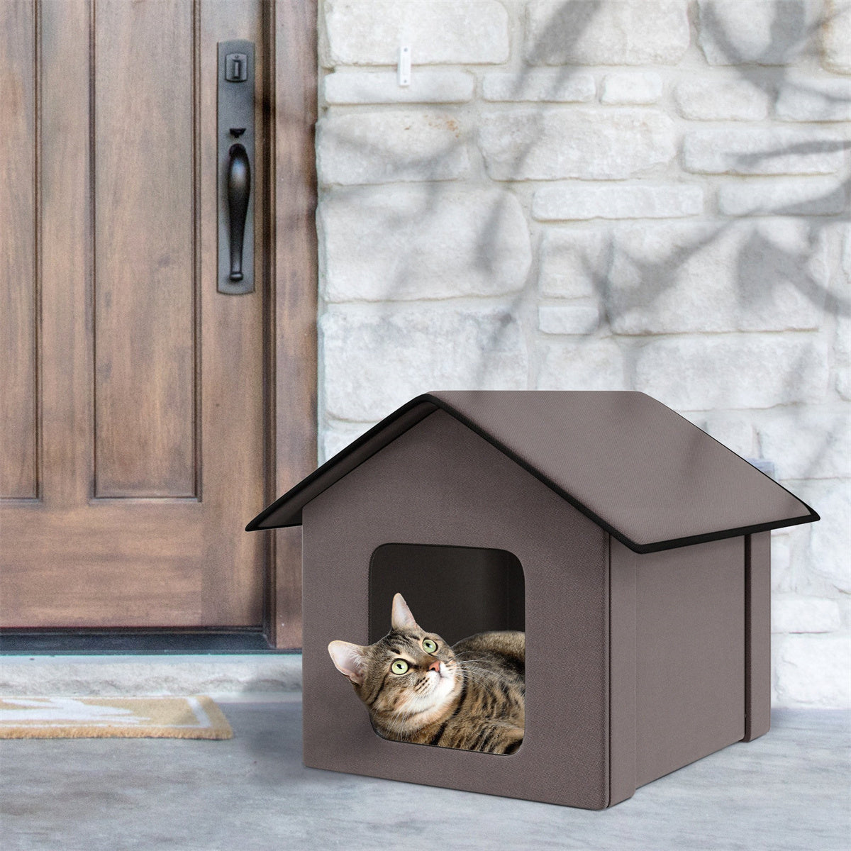 Cat / Dog House