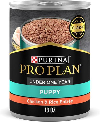 High Protein Puppy Food Pate, Chicken and Brown Rice Entree - 13 Ounce (Pack of 12)