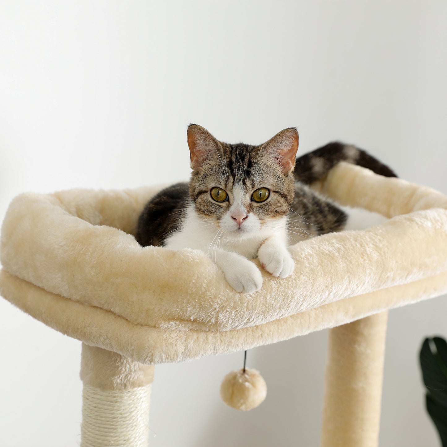 Multi-Functional Cat Tree Tower with Sisal Scratching Posts, 2 Cozy Condos, Top Perch, Hammock, Climbing Ladder & Interactive Dangling Ball