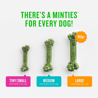 Minties Dental Chews for Dogs, Vet-Recommended Mint-Flavored Dental Treats for Tiny/Small Dogs 5-24 Lbs