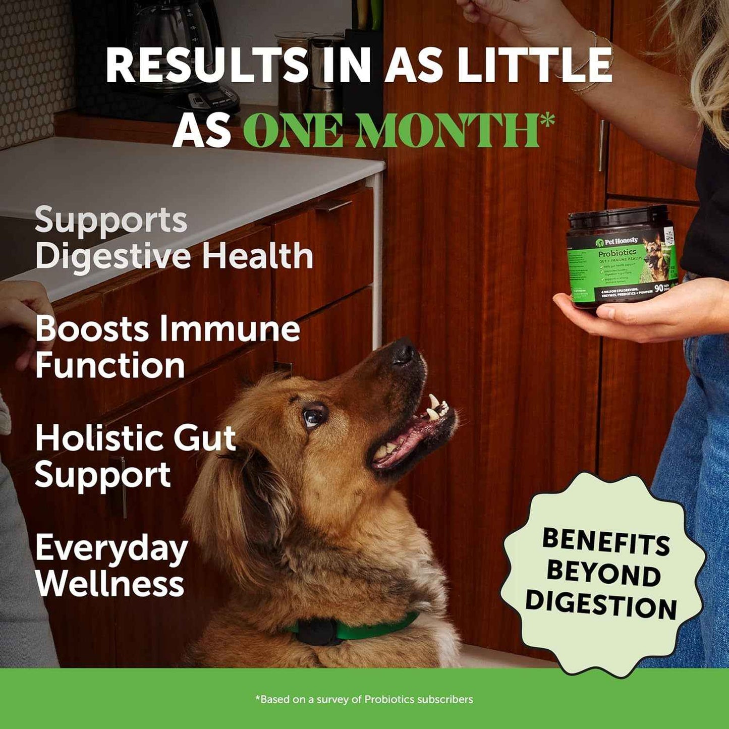 Youmile Dog Health Soft Chews – Probiotics, Glucosamine Hip & Joint, or Omega 3 Skin & Coat Supplements | Vet-Reviewed Premium Formula
