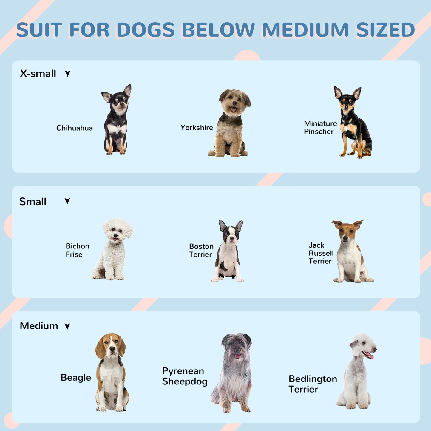 Indoor & Outdoor Dog House – Waterproof Plastic Dog Kennel for Small and Medium Dogs