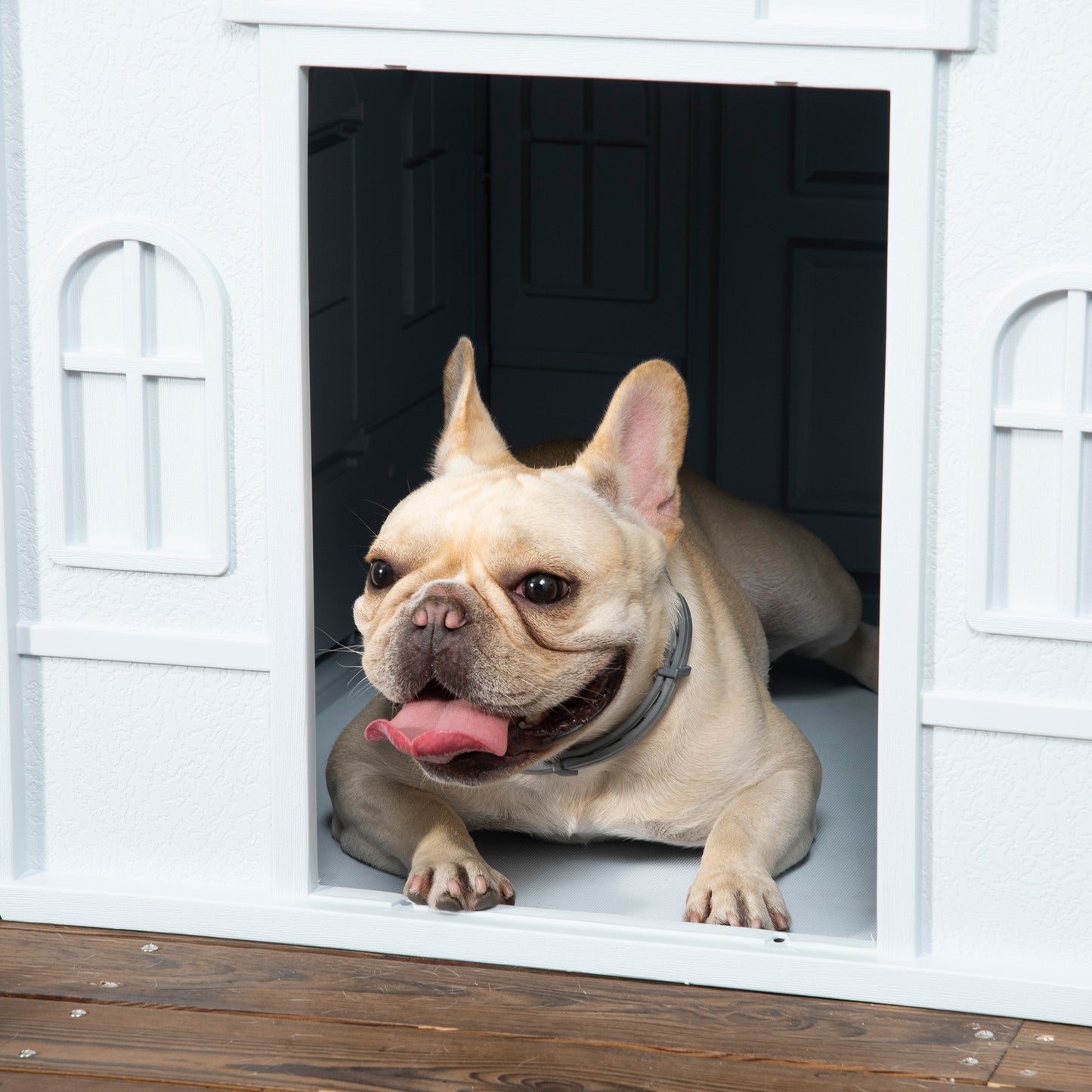 Indoor & Outdoor Dog House – Waterproof Plastic Dog Kennel for Small and Medium Dogs