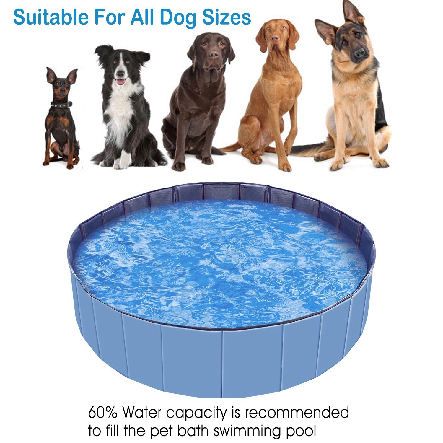 Foldable Dog Pool – 63" PVC Pet Swimming Tub for Large Dogs, Cats & Kids (Portable, Non-Slip Bottom, Easy Drain)