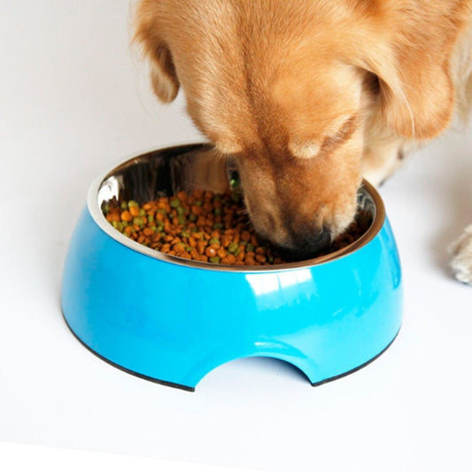 Stainless Steel Pet Bowl with Melamine Base – Durable Dog & Cat Feeding Dish